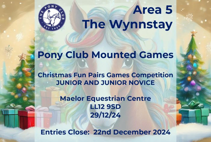 The Wynnstay - Christmas Fun Pairs Games Competition Junior and Junior Novice