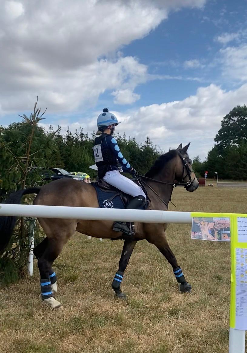 Gallery Image for Pony Club