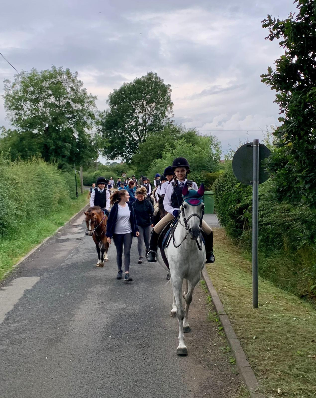 Gallery Image for Pony Club