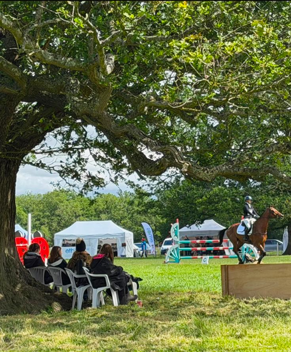 Gallery Image for Pony Club