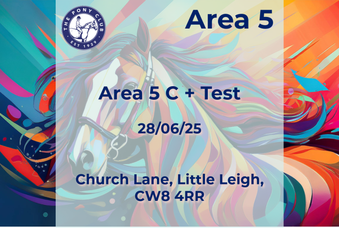 Area 5 C+ Test