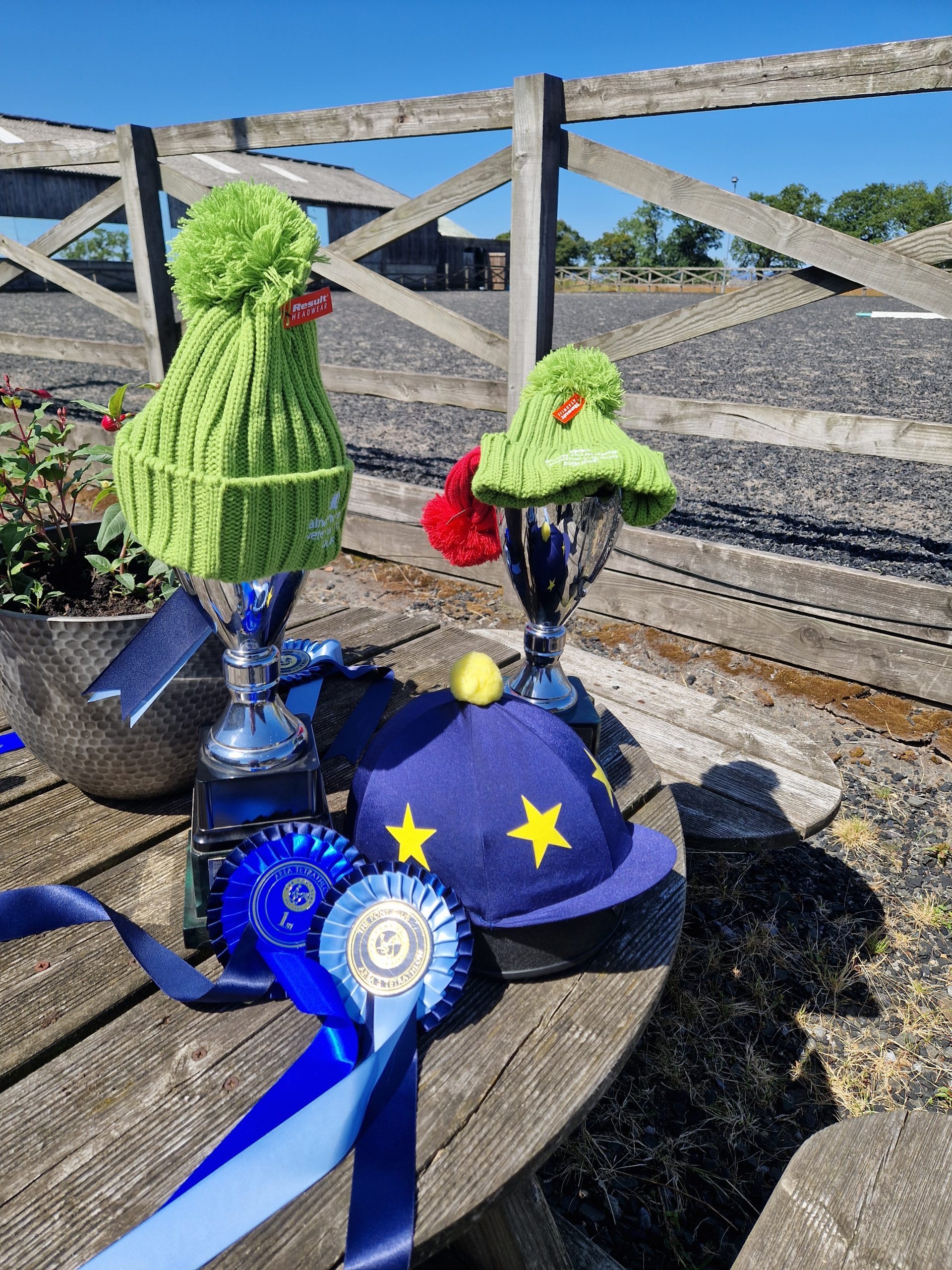 Gallery Image for Pony Club