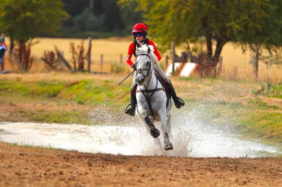 Gallery Image for Pony Club