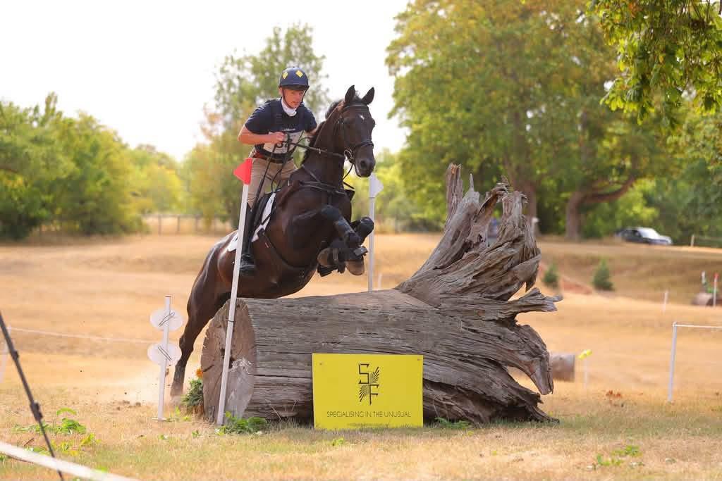 Gallery Image for Pony Club