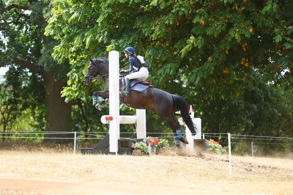 Gallery Image for Pony Club
