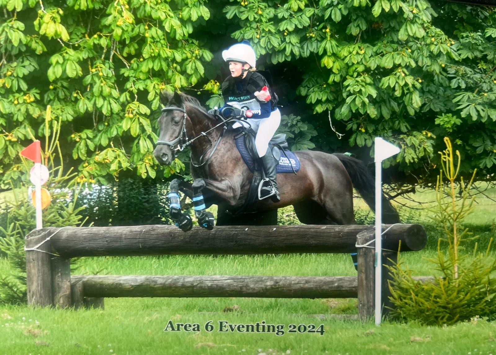 Pony Club rider jumping a cross-country fence at Area 6 Eventing