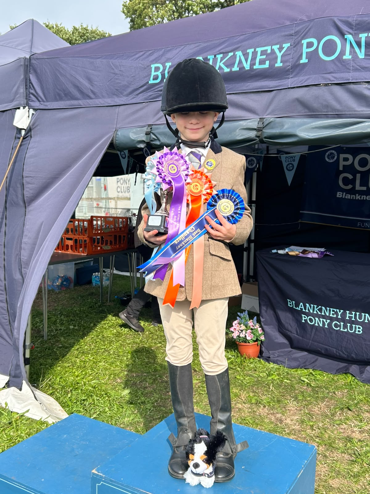 Gallery Image for Pony Club