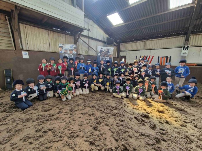Area 2 Horse and Pony Care 2026