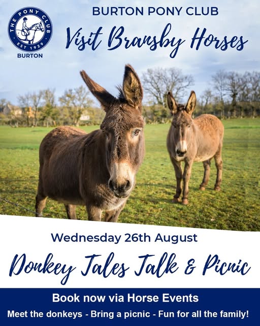 Gallery Image for Pony Club