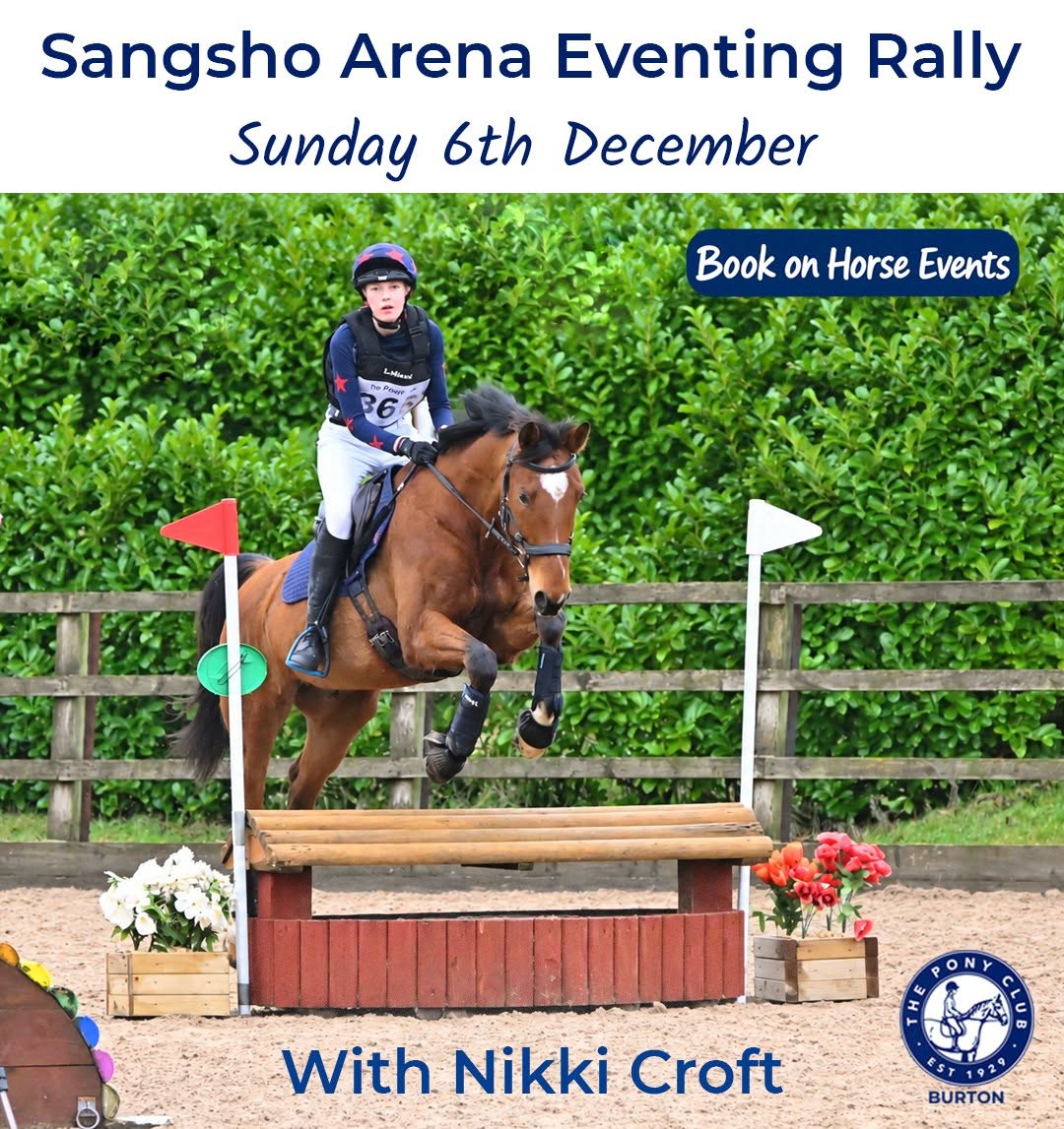 Gallery Image for Pony Club