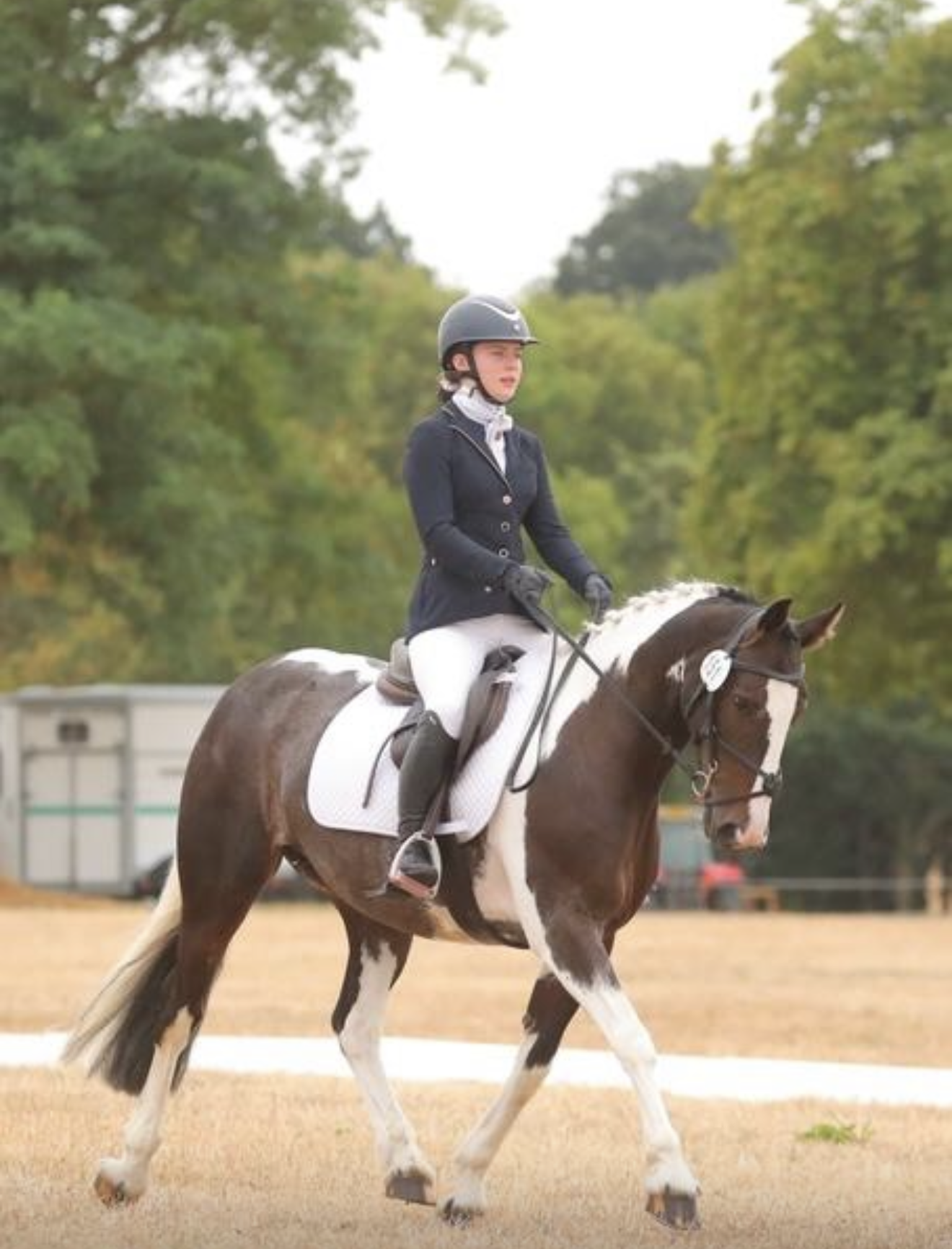 Gallery Image for Pony Club