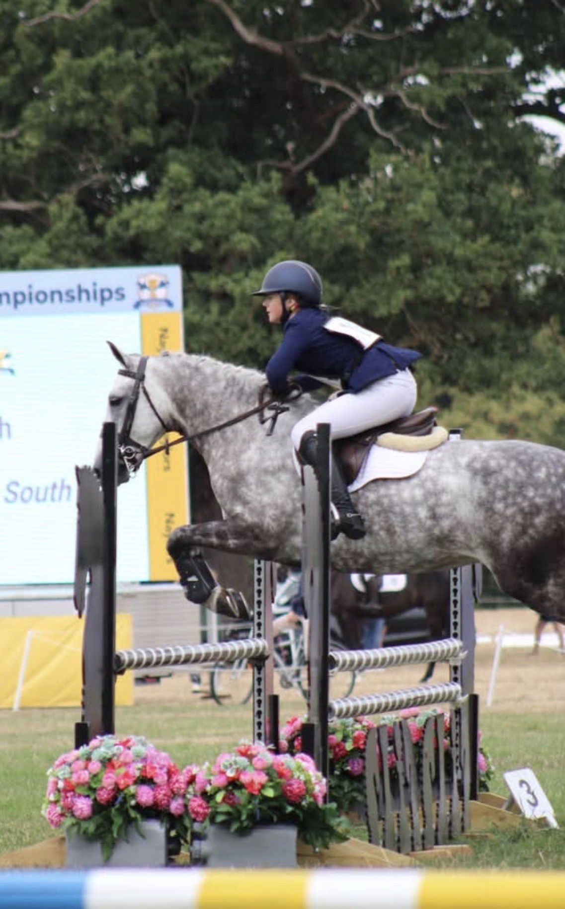 Gallery Image for Pony Club