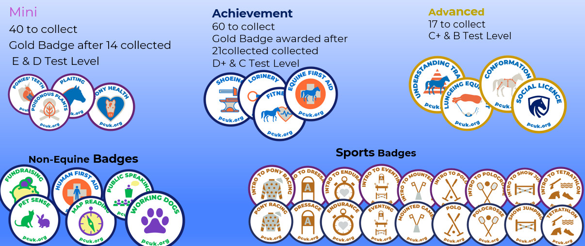 badges