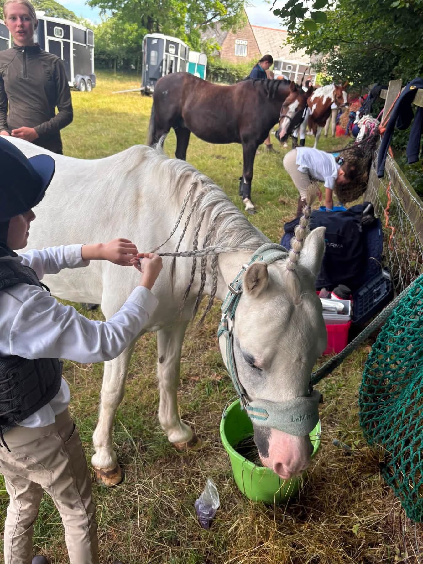 Gallery Image for Pony Club