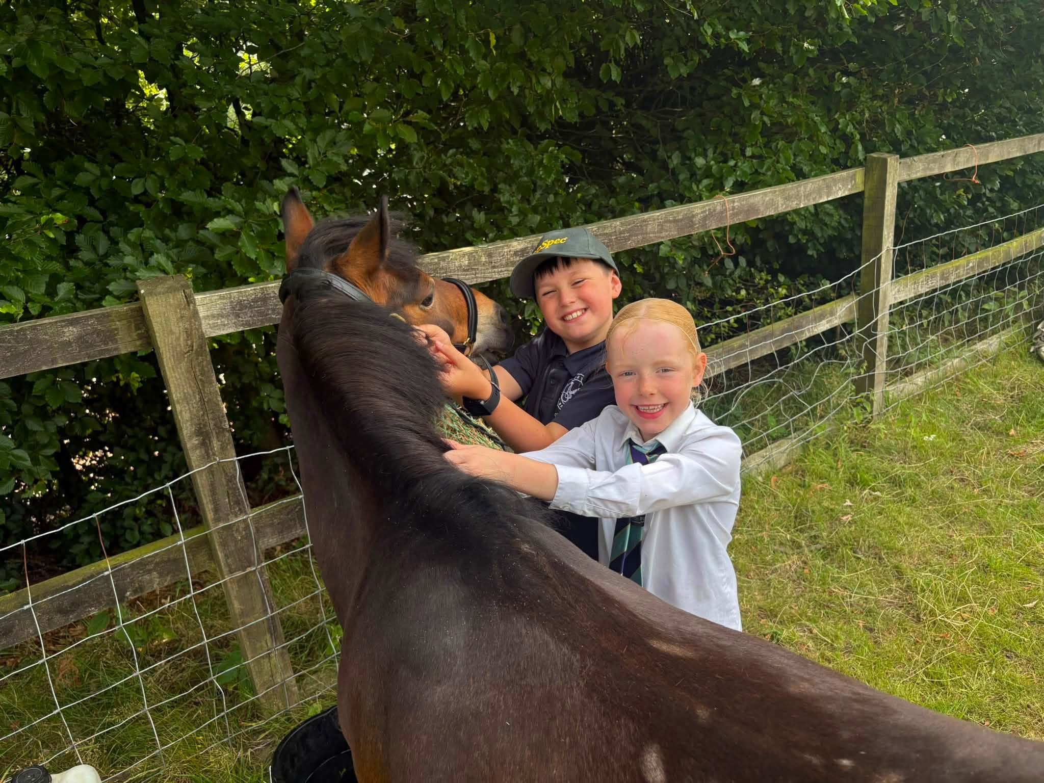 Gallery Image for Pony Club