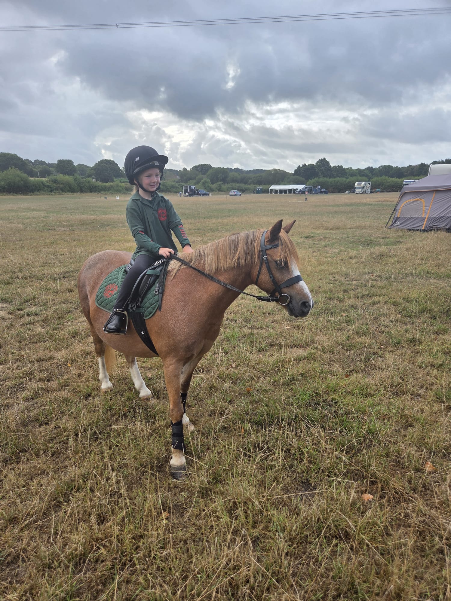 Gallery Image for Pony Club