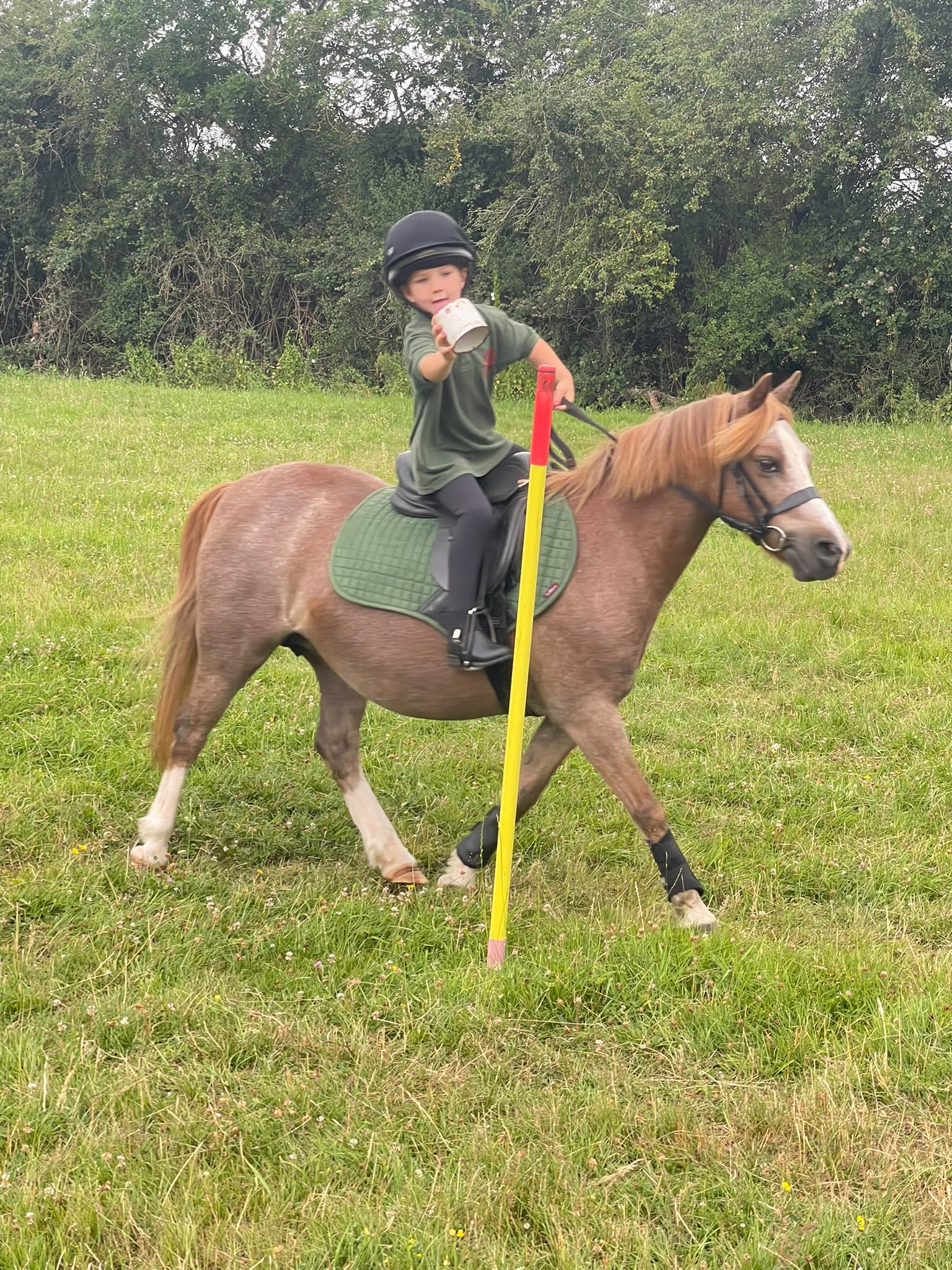 Gallery Image for Pony Club