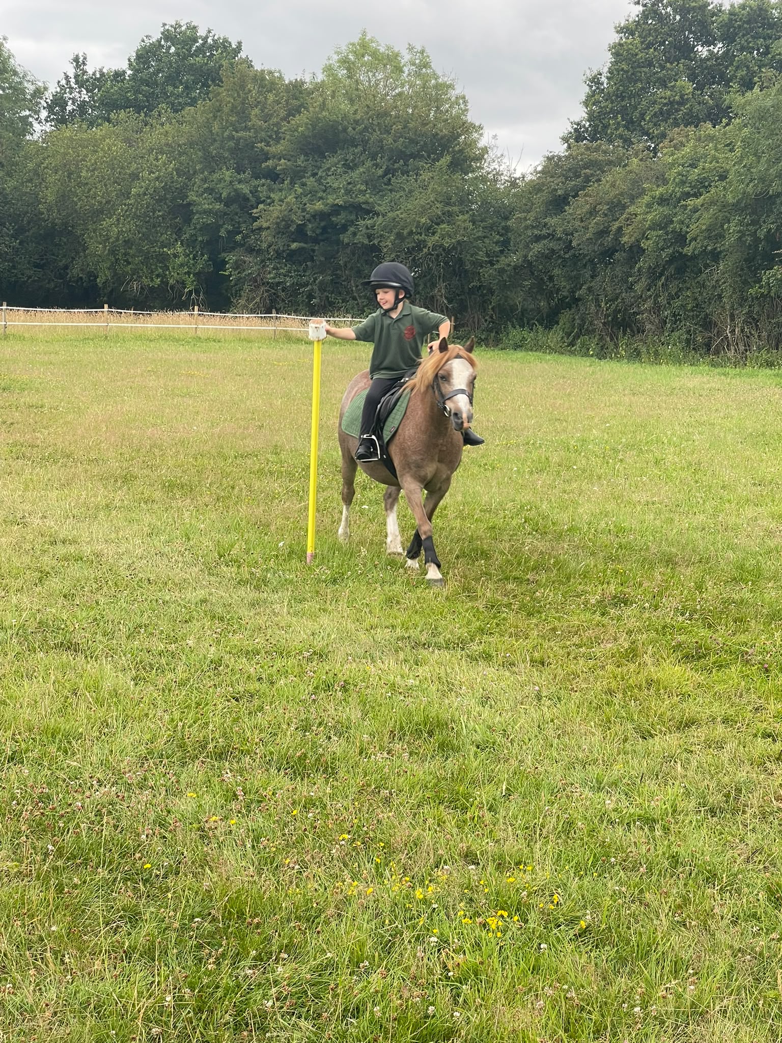 Gallery Image for Pony Club