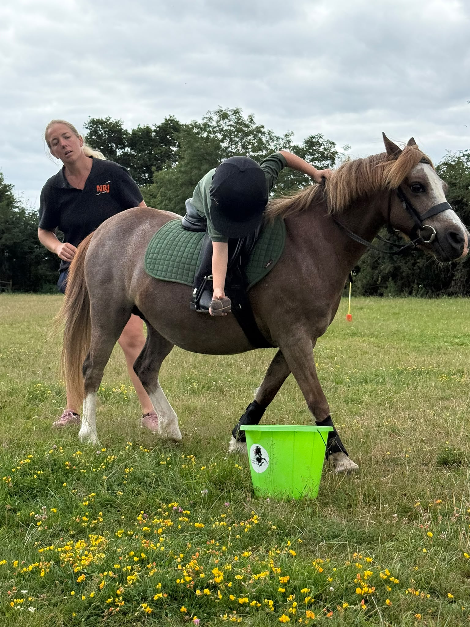 Gallery Image for Pony Club
