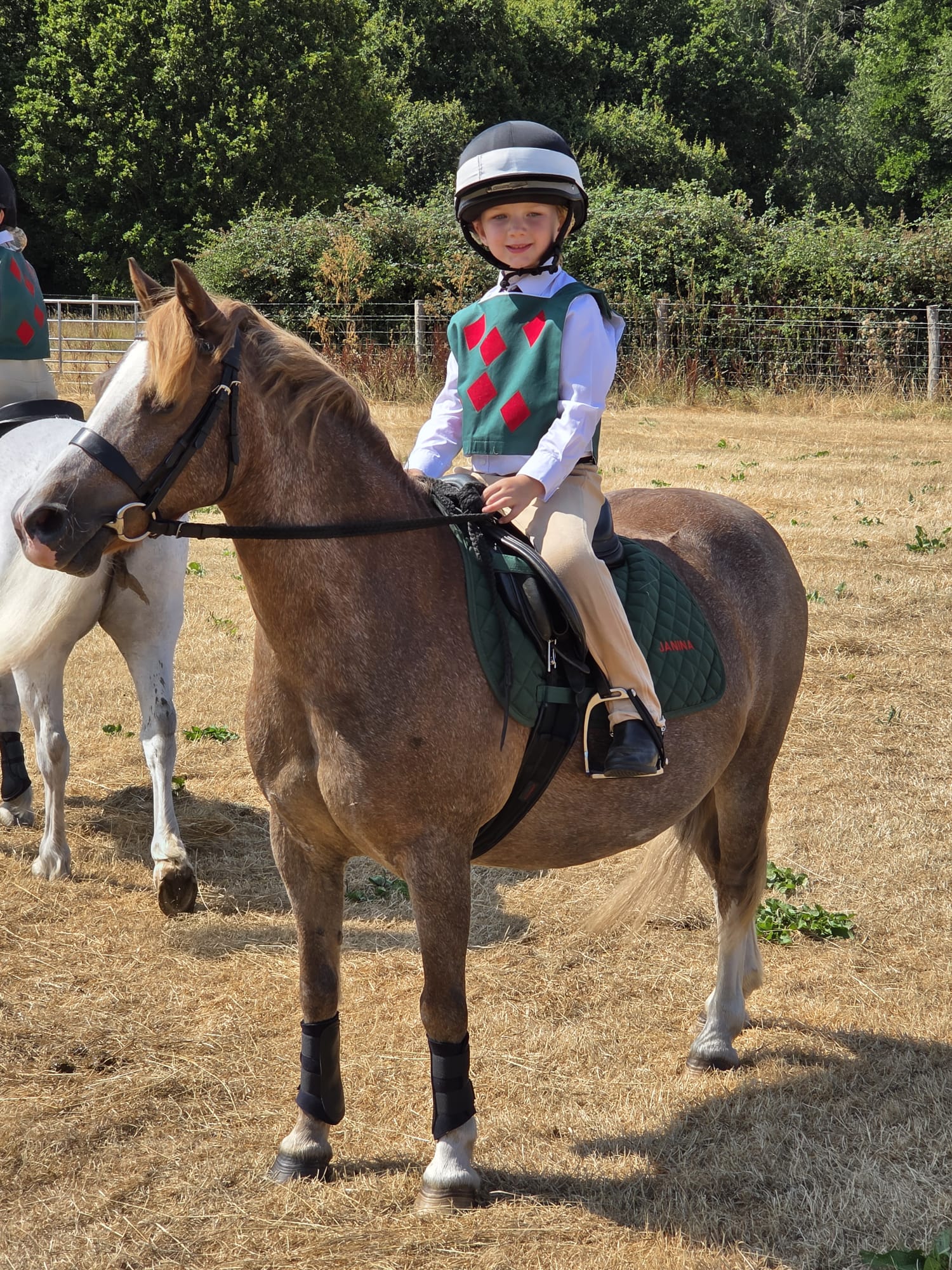 Gallery Image for Pony Club