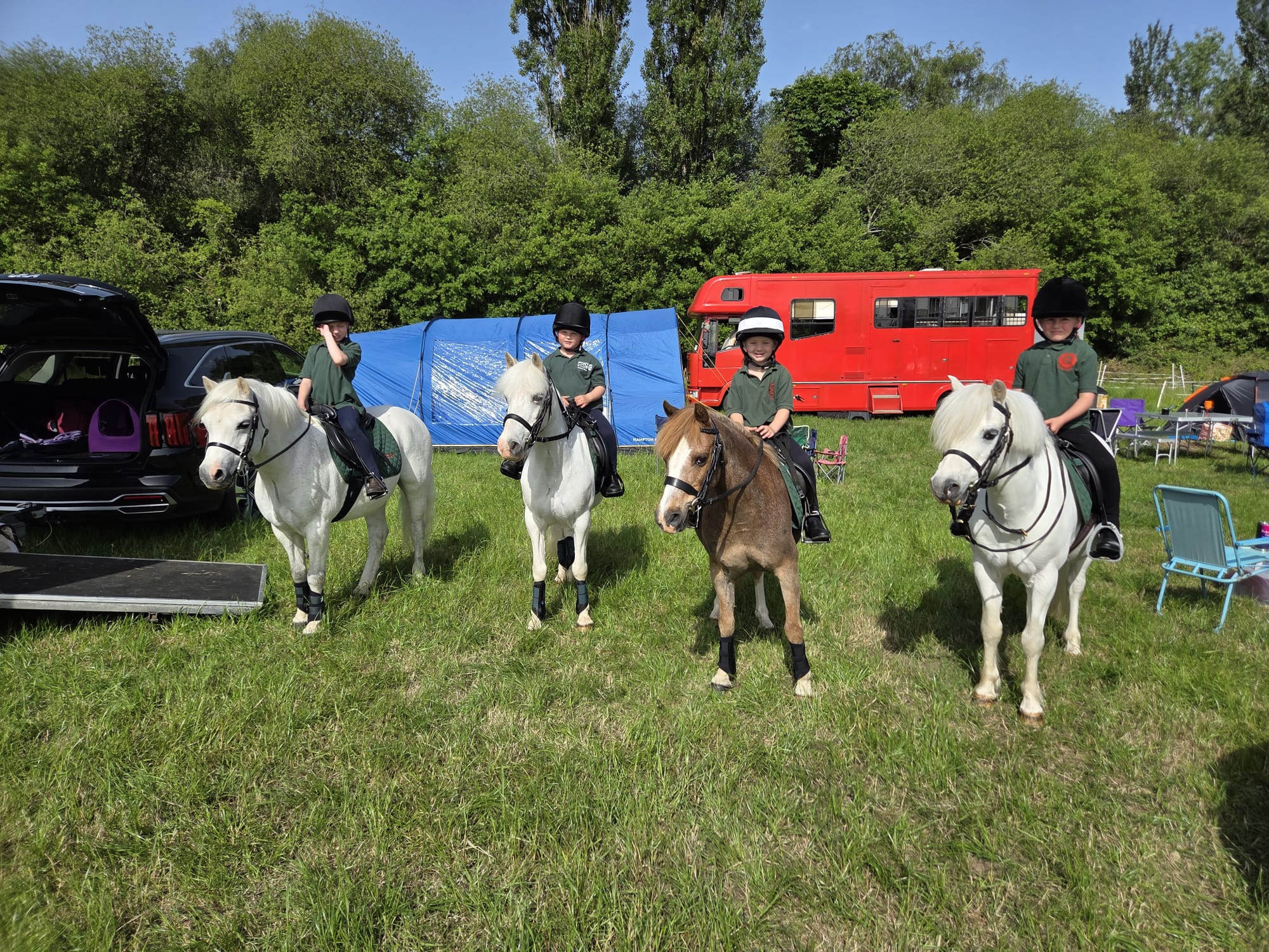 Gallery Image for Pony Club