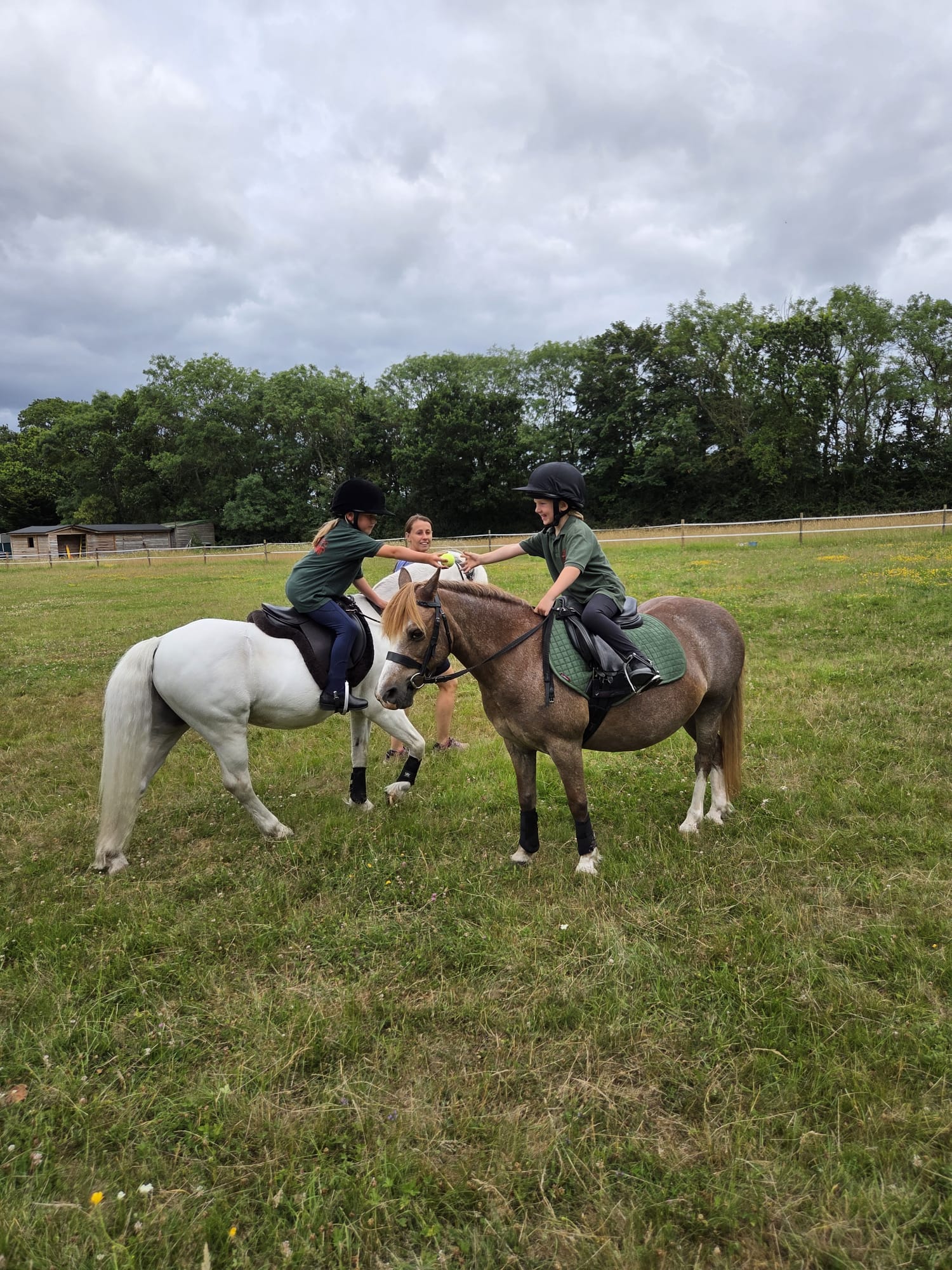 Gallery Image for Pony Club