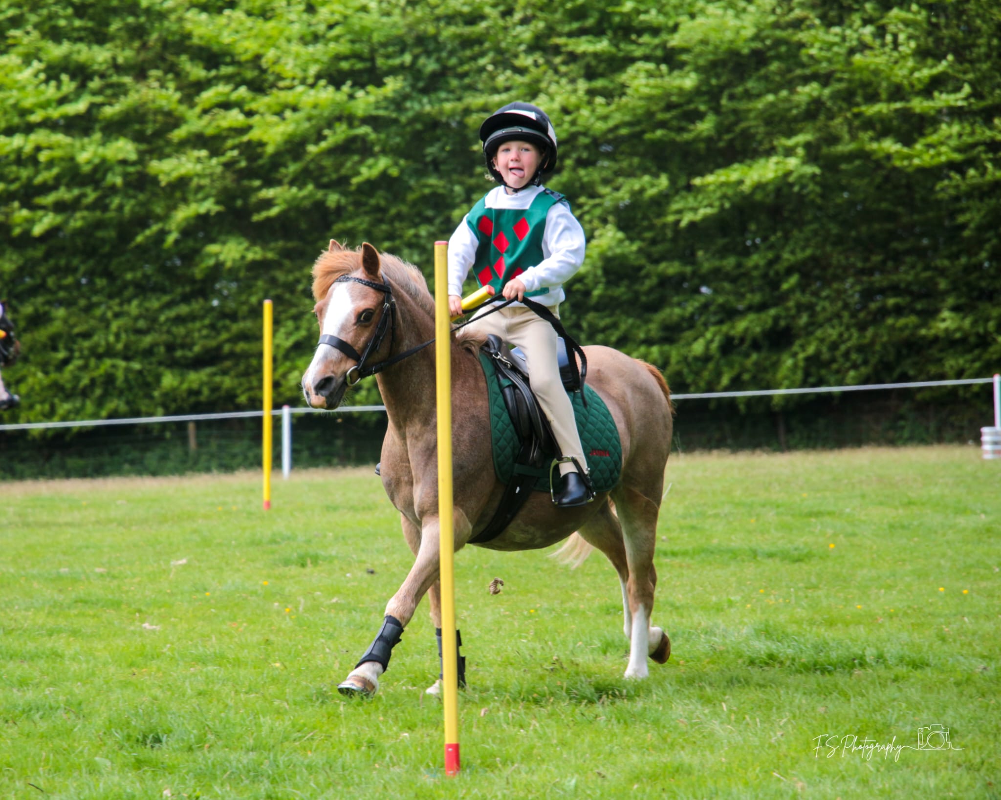 Gallery Image for Pony Club