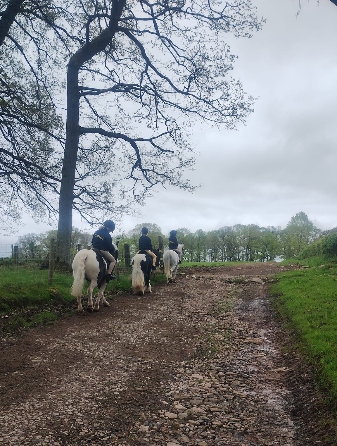 Gallery Image for Pony Club