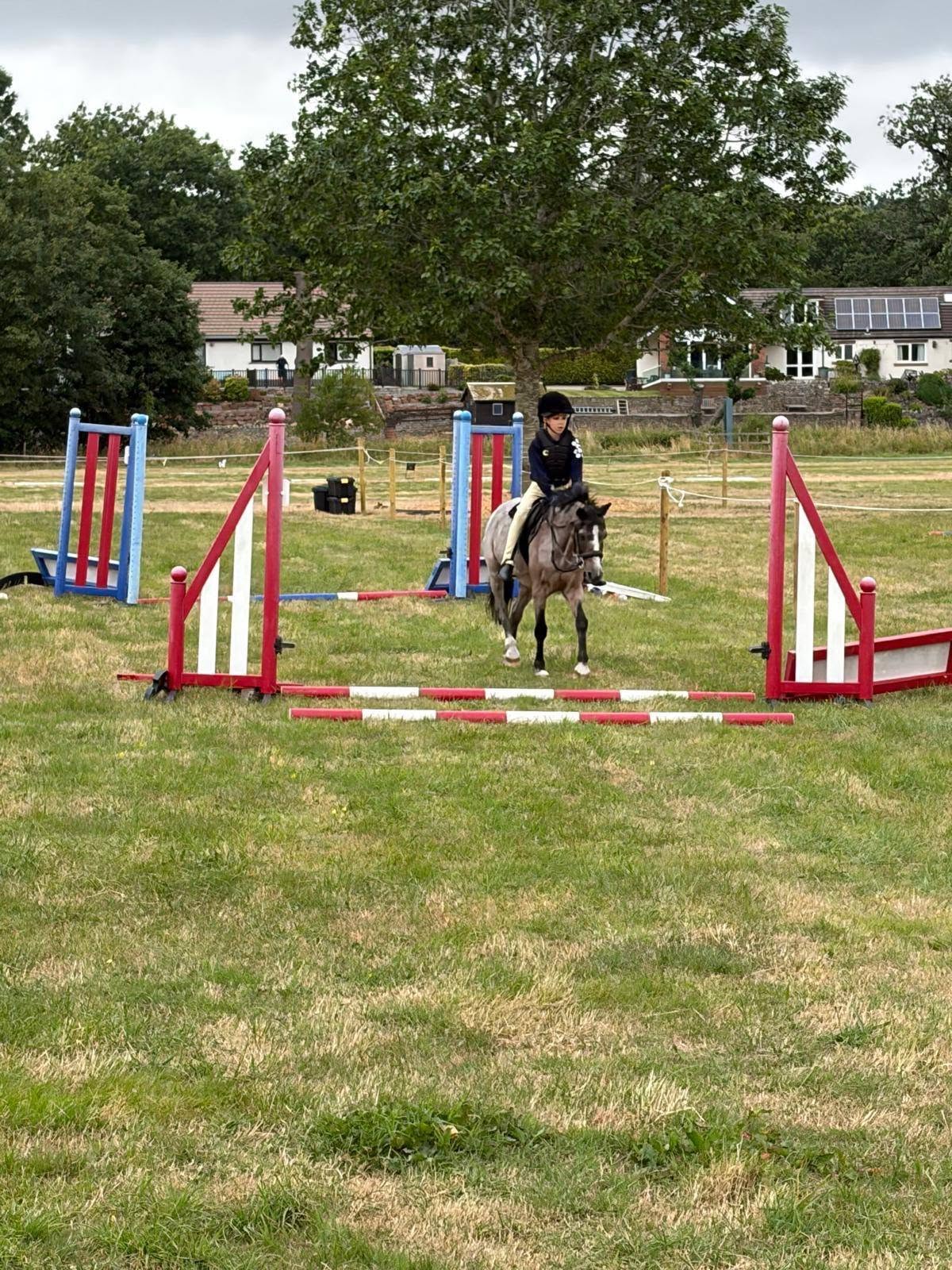 Gallery Image for Pony Club