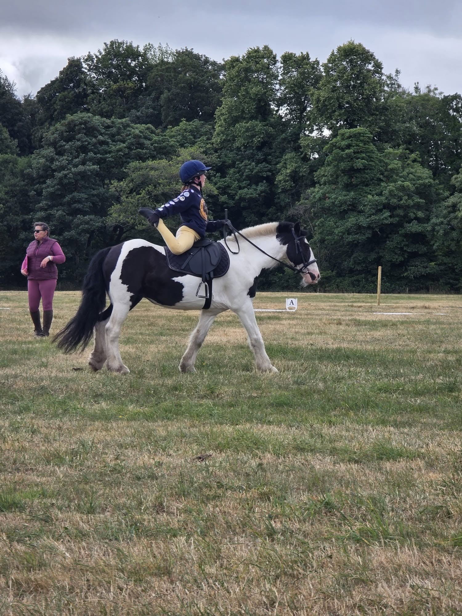 Gallery Image for Pony Club