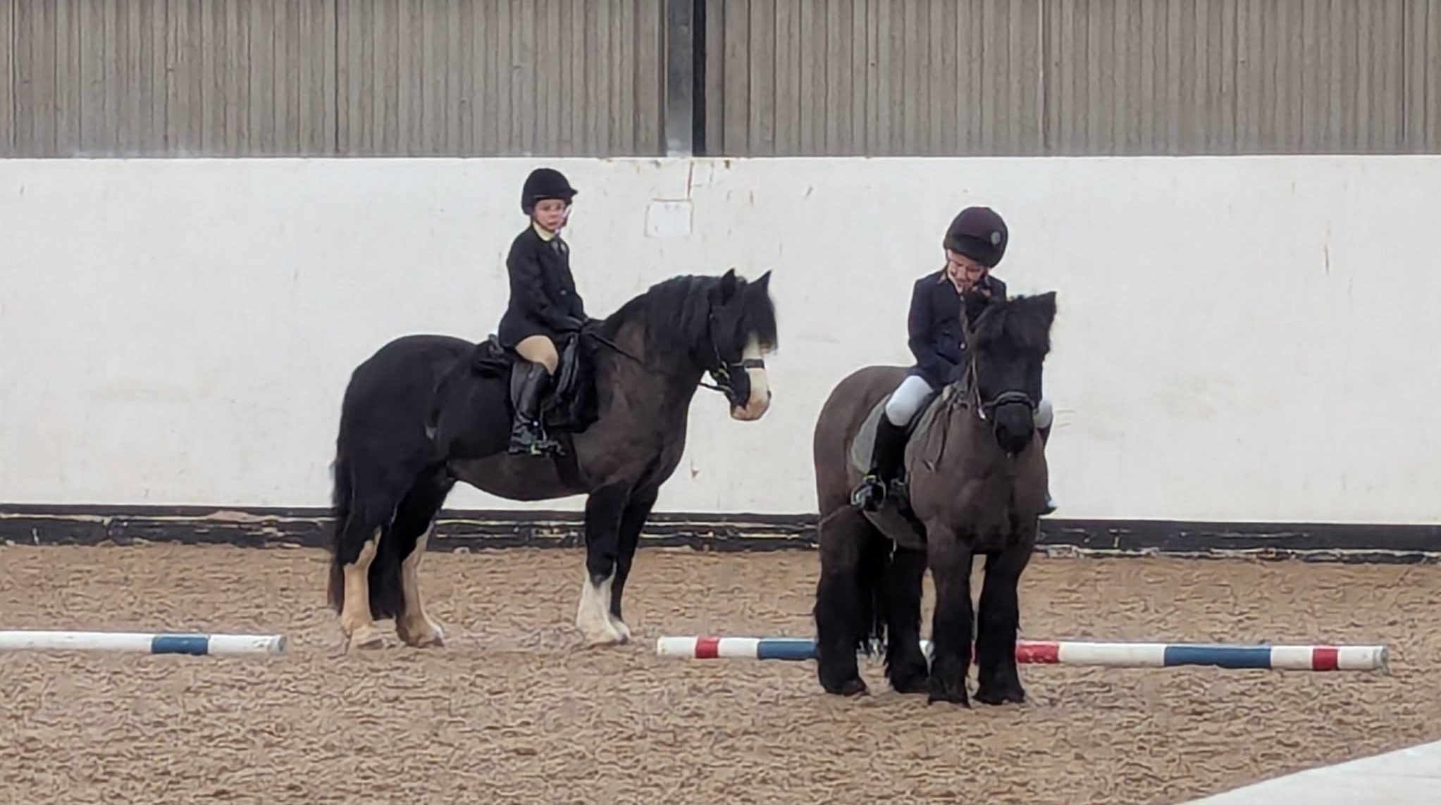 Gallery Image for Pony Club