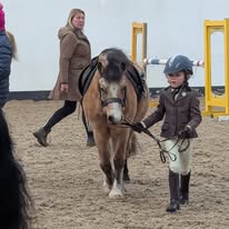 Gallery Image for Pony Club