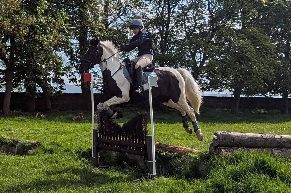 Gallery Image for Pony Club