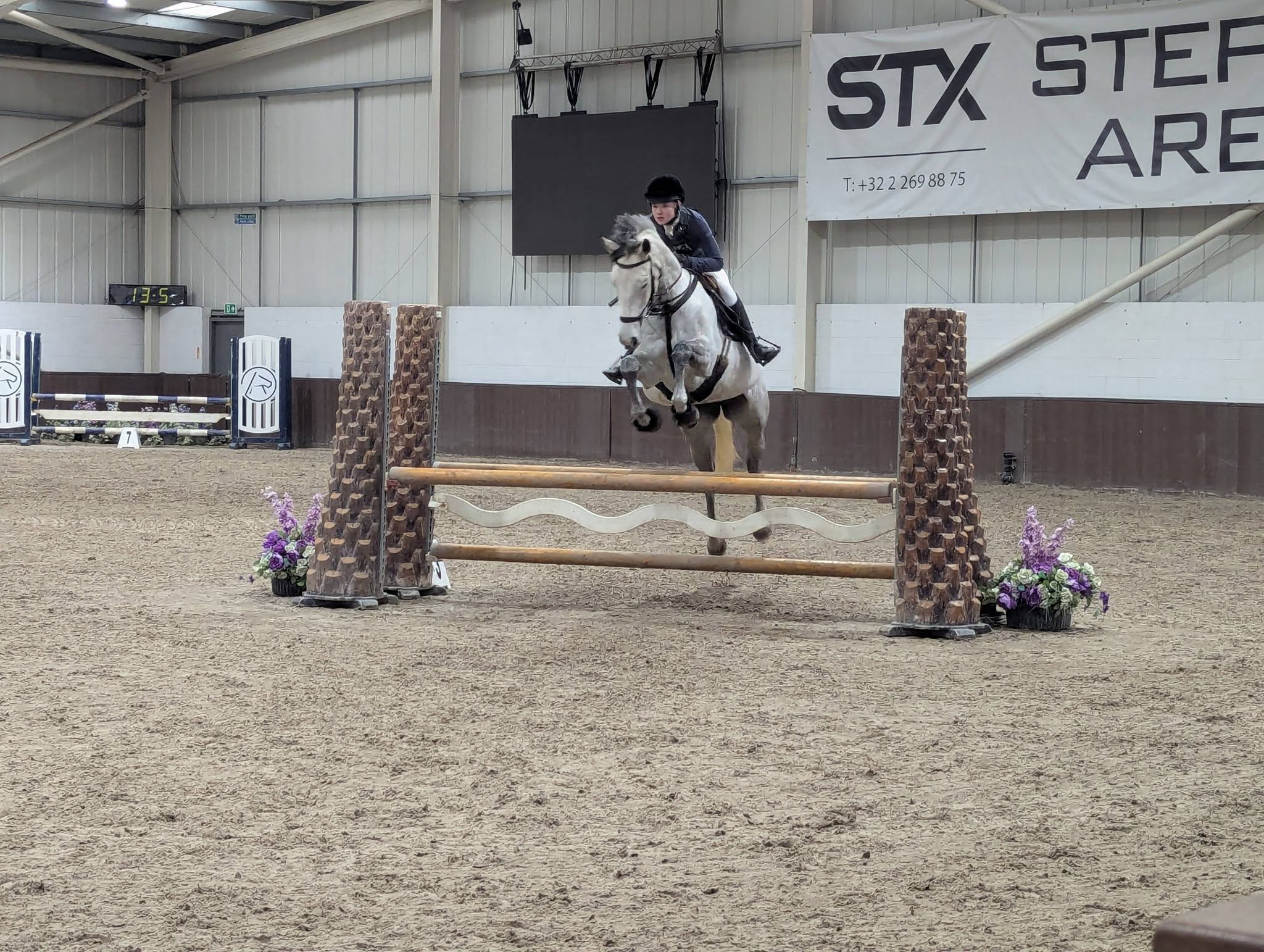 Gallery Image for Pony Club