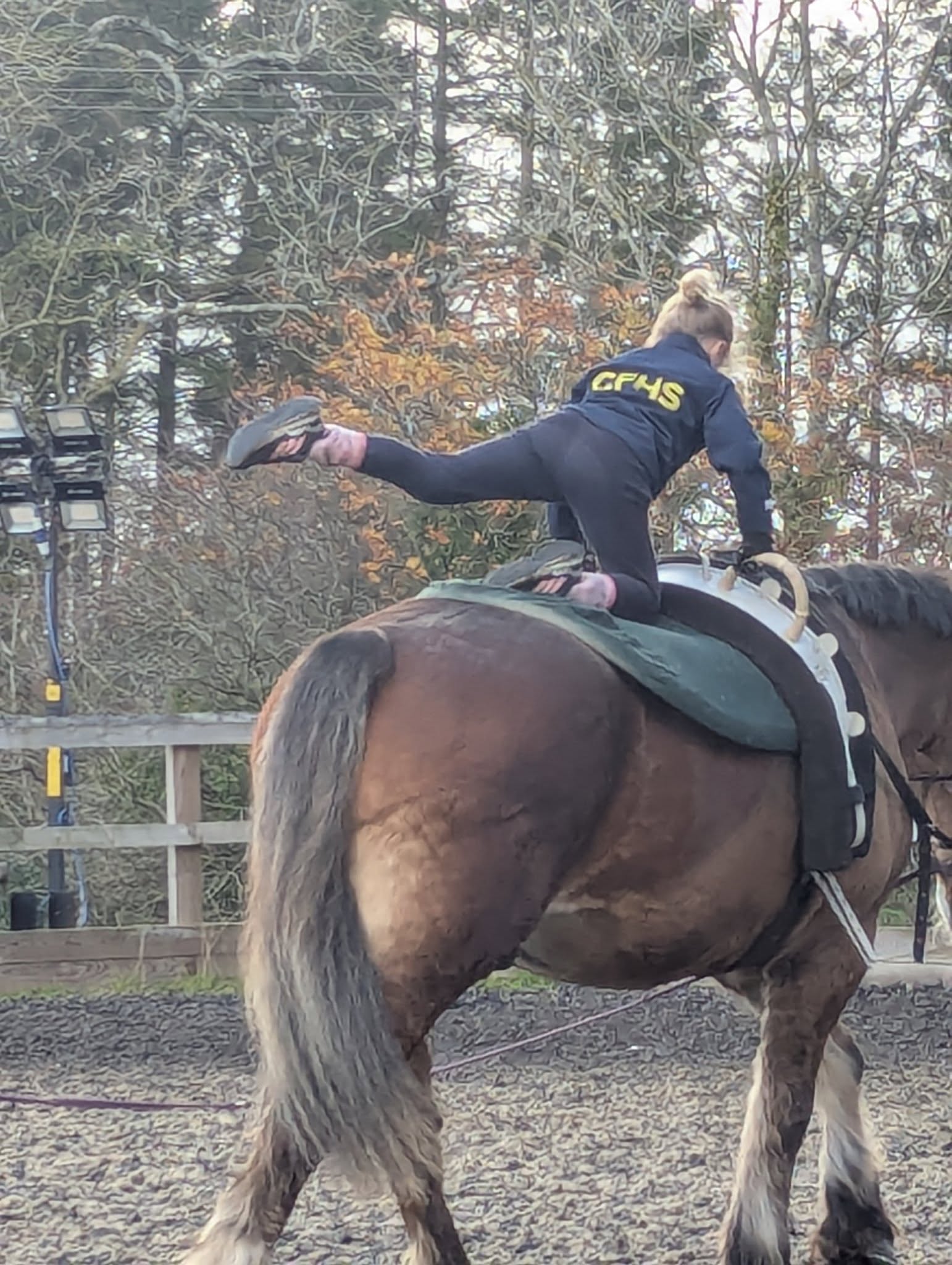 Gallery Image for Pony Club