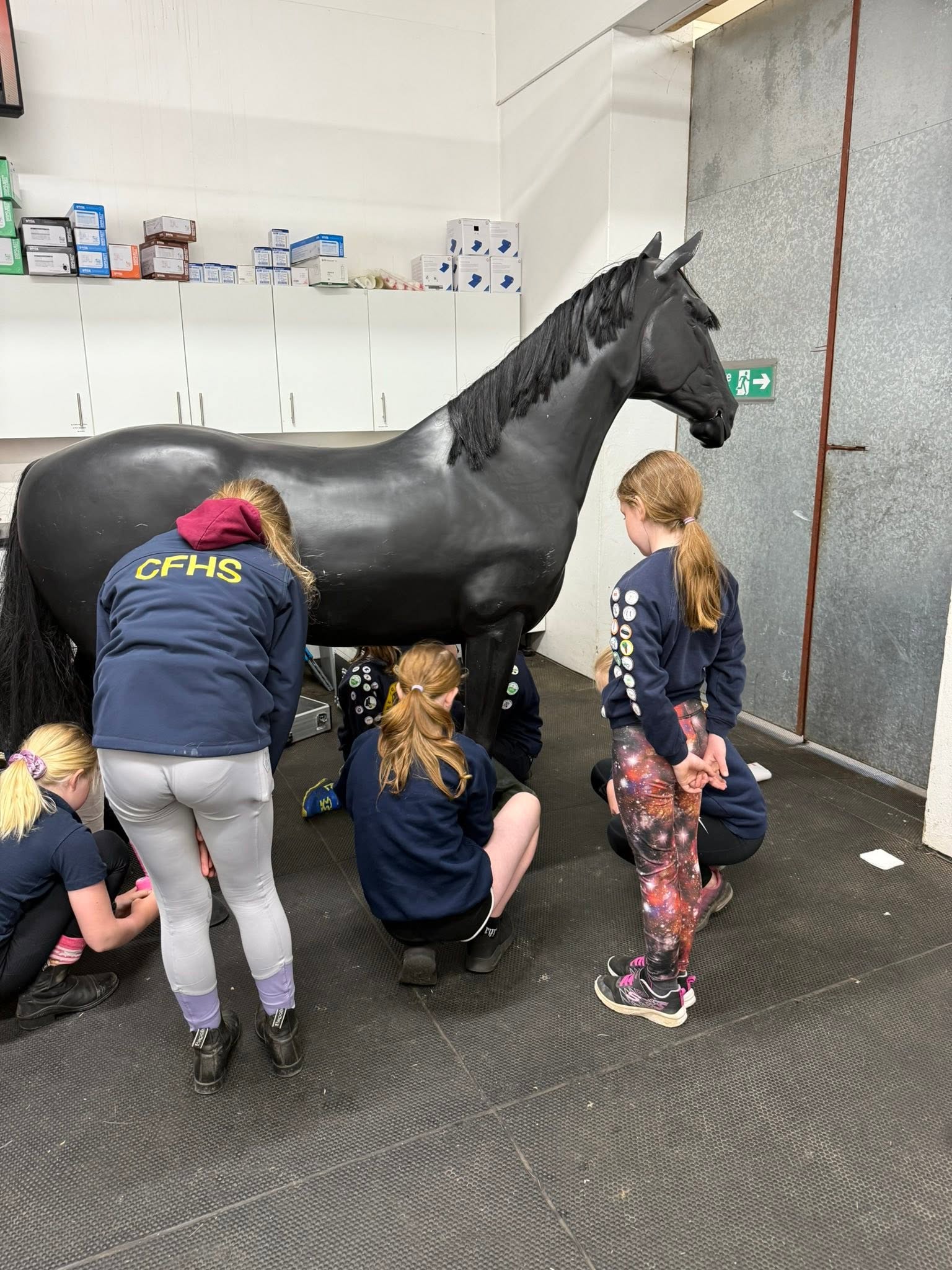 Gallery Image for Pony Club