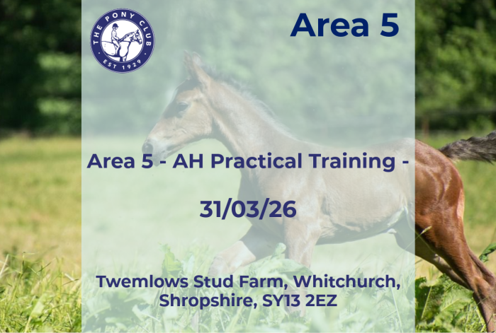 Area 5 - AH Practical Training - 31/03/26
