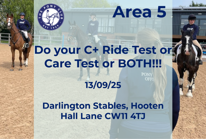 Area 5 C+ Test Summer