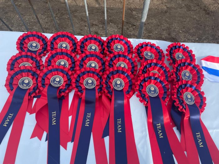 Arena Eventing success at the Spring Festival Qualifiers