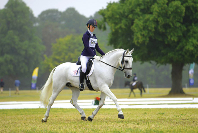 Online dressage comp - entries close 17th November