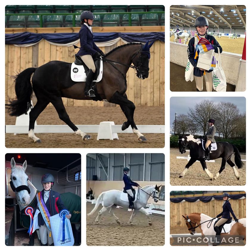 Dressage Success at the Spring Festival