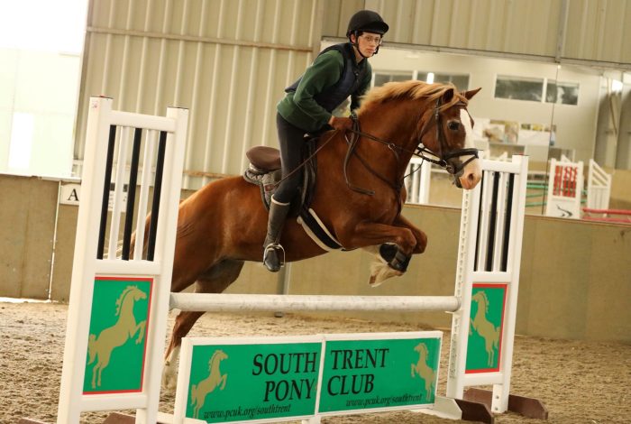 South Trent Showjumping Competition