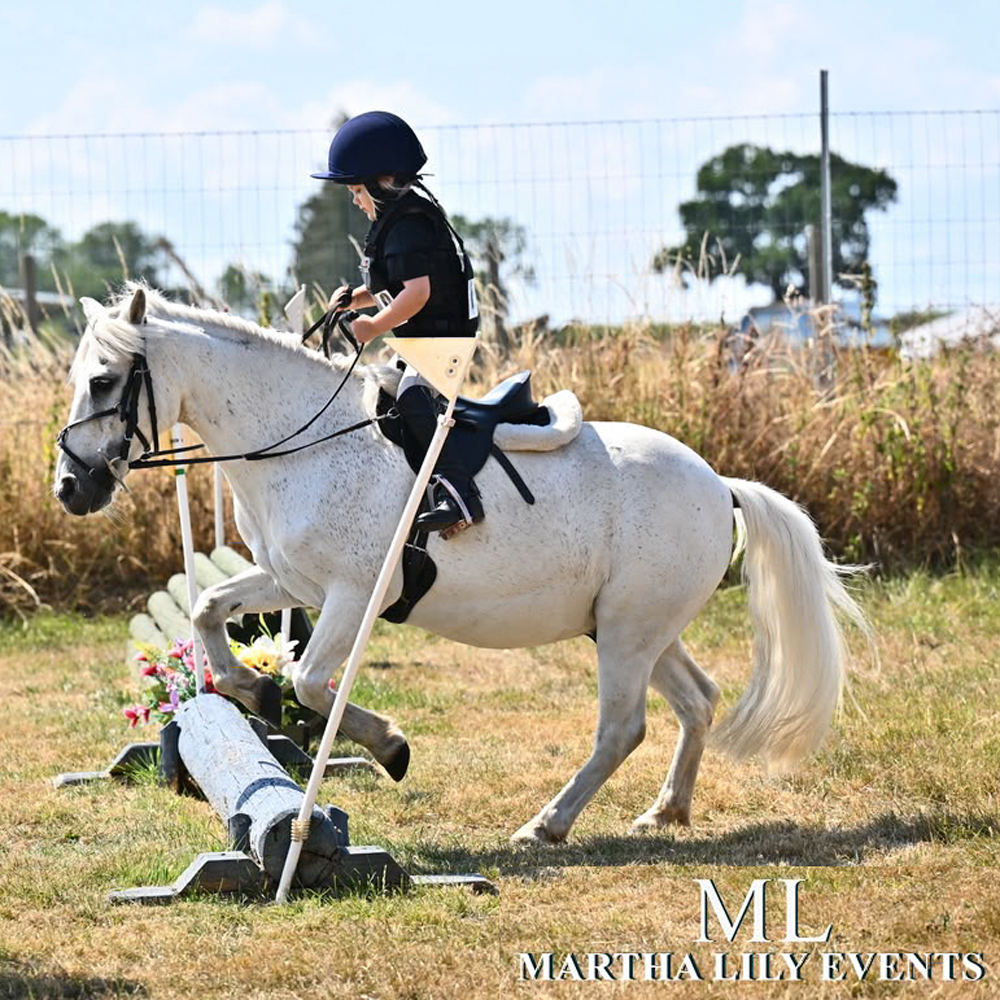 Gallery Image for Pony Club