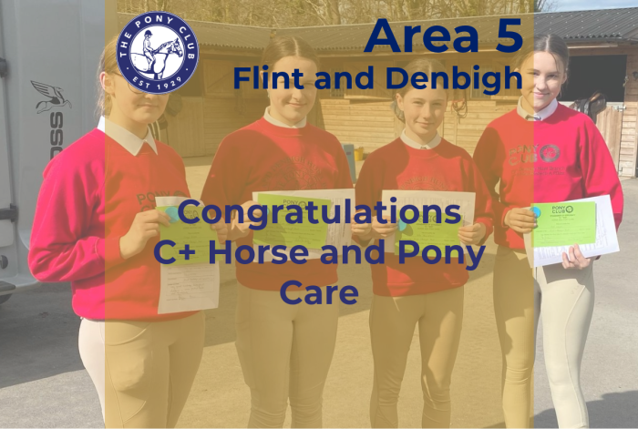 Congratulations - Flint and Denbigh - C+ Care