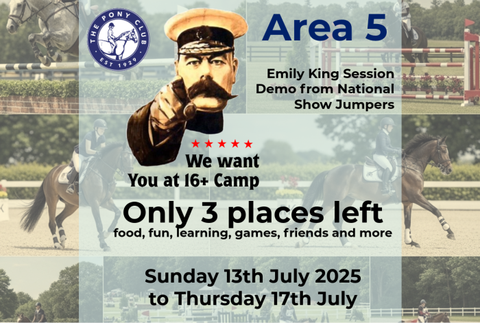 16+ Camp at Somerford wants YOU .....