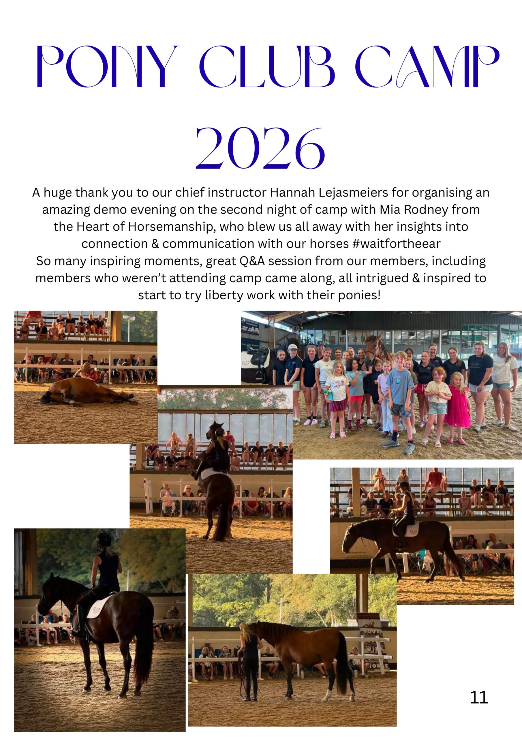 Gallery Image for Pony Club