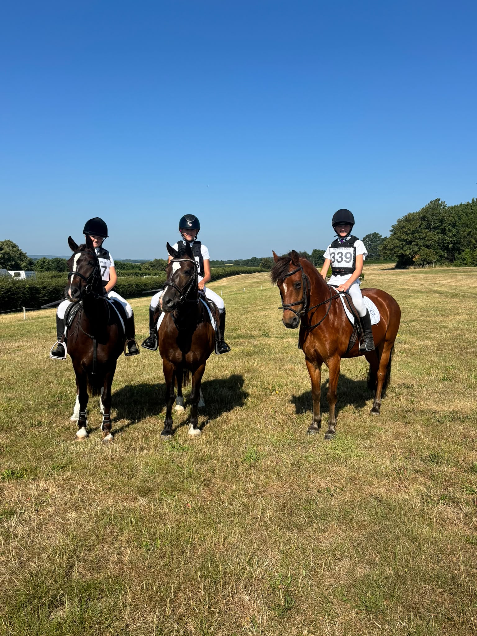 Gallery Image for Pony Club