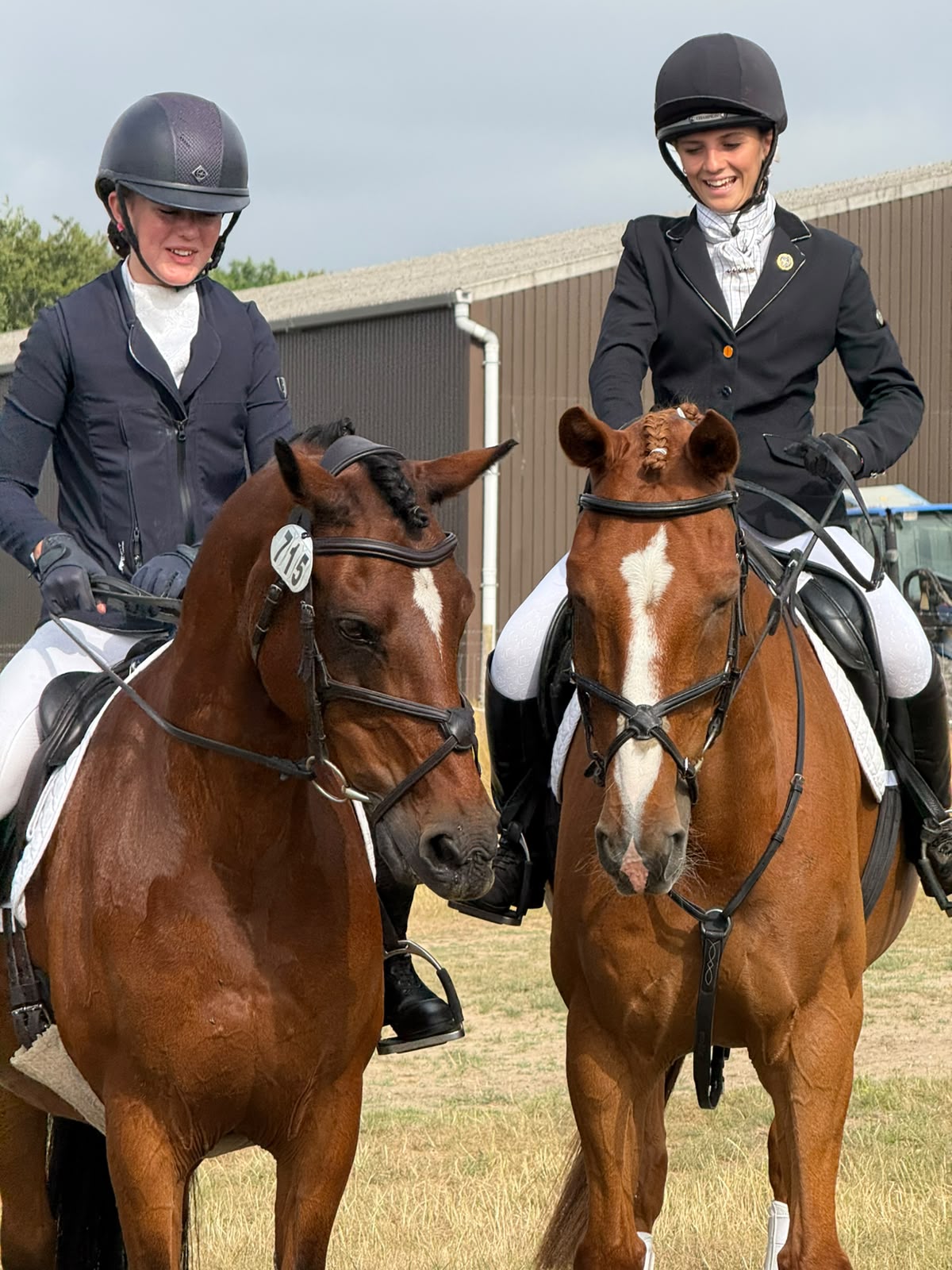Gallery Image for Pony Club