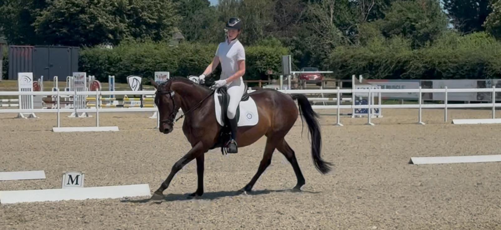 Gallery Image for Pony Club