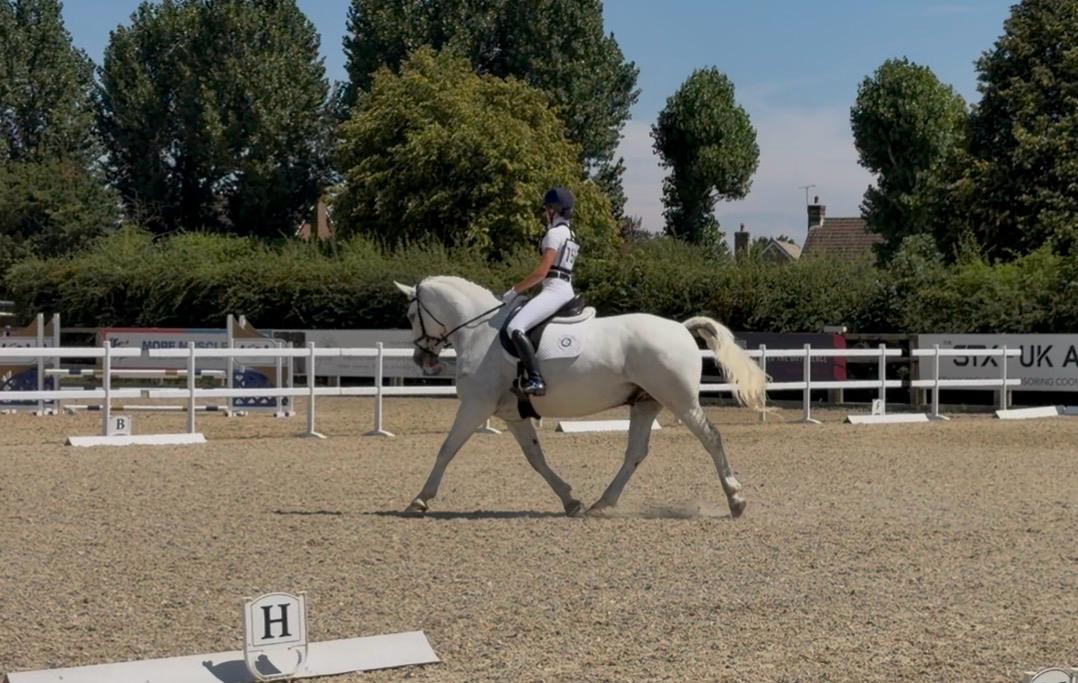 Gallery Image for Pony Club